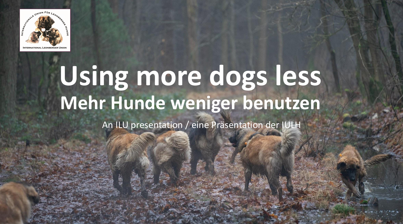 ILU Prasentation 2025